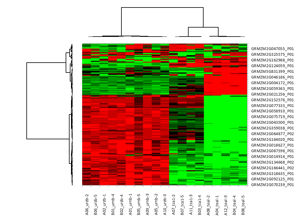 heat map heat map